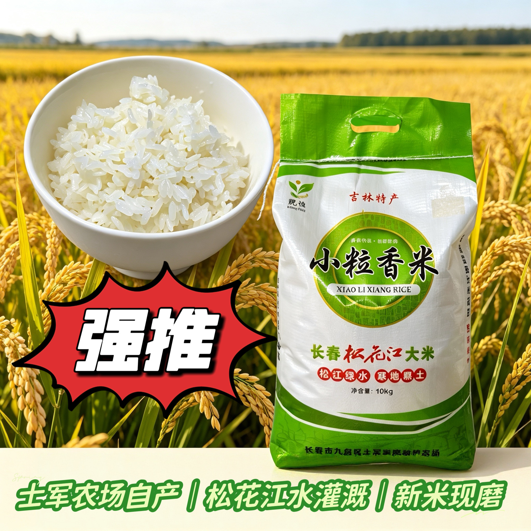 东北小粒香大米10kg2025年新米吉林九台松花江农家士军农场包邮