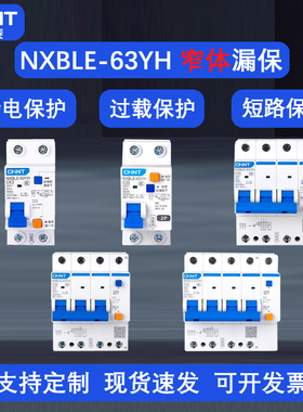 正泰NXBLE-63YH漏电断路器2p63a家用新款小体积1P+N漏保32a总开关