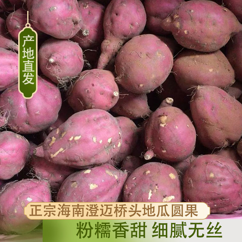 海南澄迈富硒桥头地瓜圆果粉糯新鲜板栗番薯农家沙地黄心红薯包邮