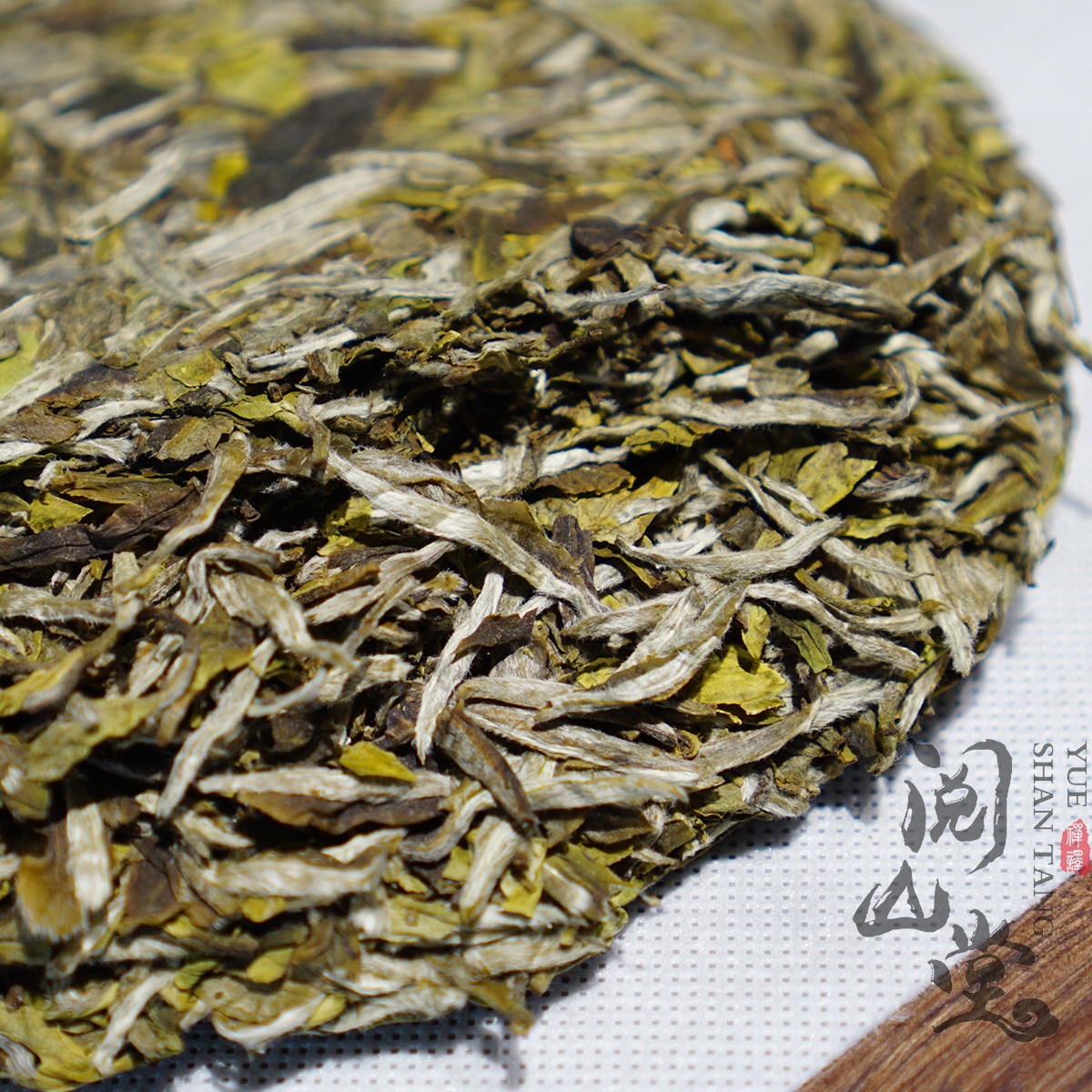 山堂君临福鼎白茶牡丹蟠溪大洋