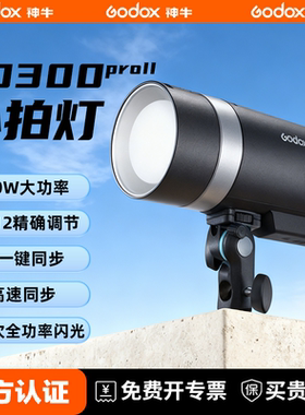 [二代升级] Godox 神牛AD300 pro II外拍闪光灯口袋灯补光灯摄影灯便携300W户外单反高速同步TTL测光锂电闪光