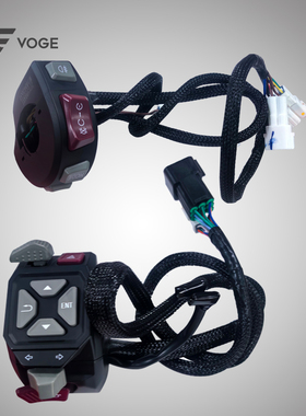 无极DS900X 900DS原装左右手把控制开关闸把