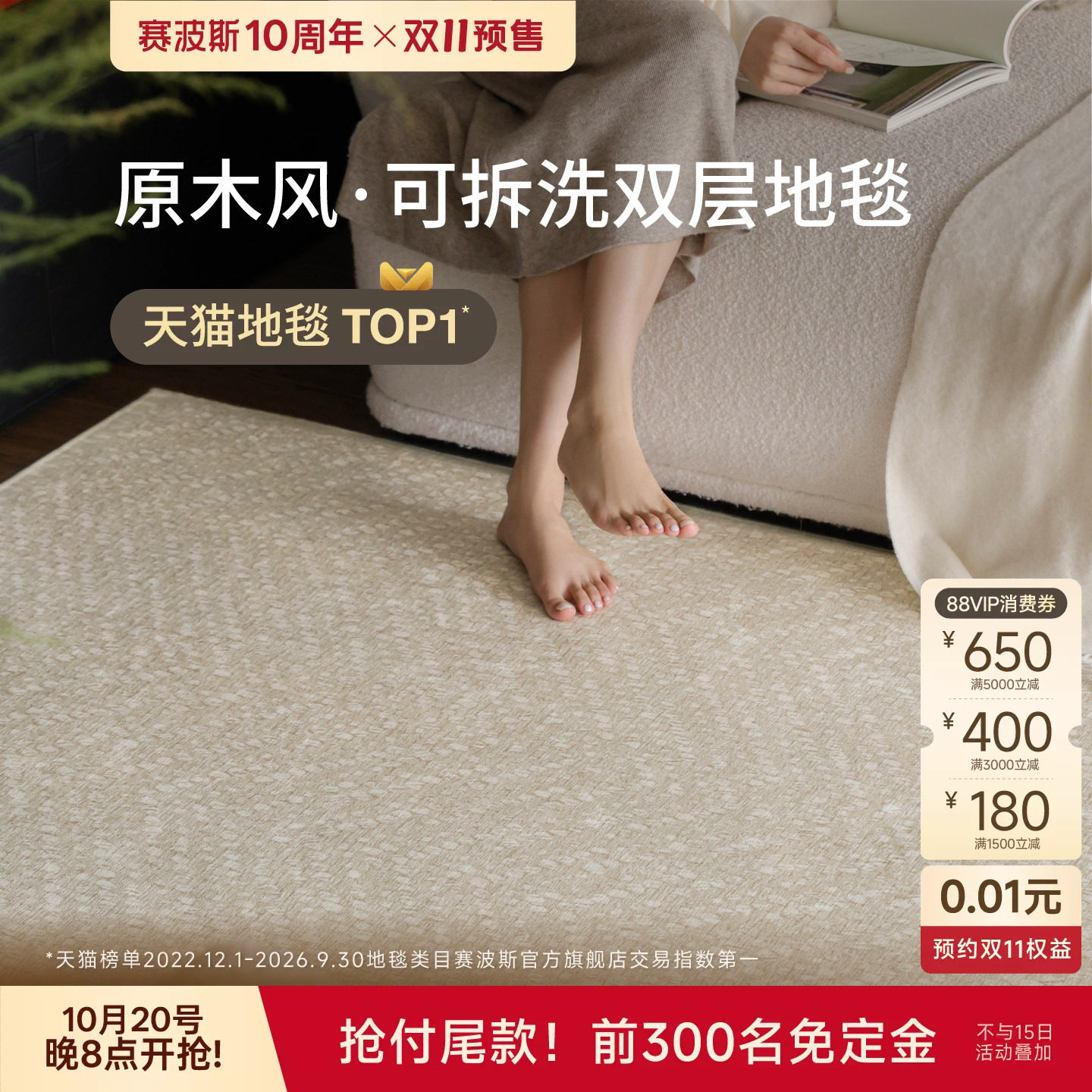 赛波斯云珠大宅可拆洗双层地毯客厅地垫卧室可机洗轻奢高级防猫爪