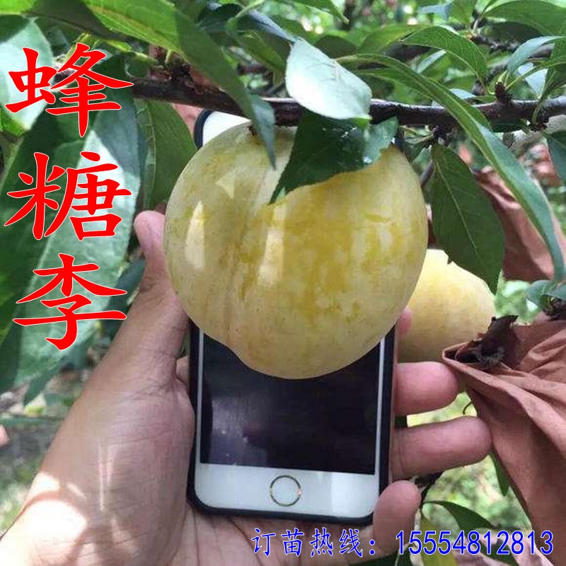李世亭