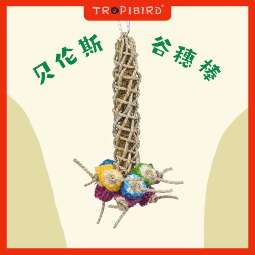玄风牡丹鹦鹉纯天然谷穗觅食玩具