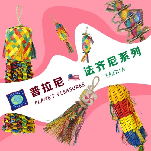 鹦鹉啃咬普拉尼觅食玩具