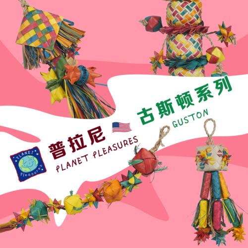 鹦鹉啃咬普拉尼觅食玩具