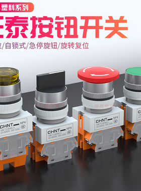 正泰NP4-11ZS自锁式急停开关11BN自复位11DN带灯11x旋转按钮开关