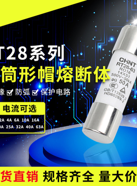 正泰熔断器保险丝芯RT28-32/63 6A10A20 38*51 RT14 RT18 RO15 16