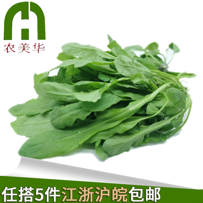 [Nong Meihua]fresh Shepherd's purse To dish Chaos Dumplings Spring Rolls Stuffing buns 500gin the Aquatic meat/Fresh fruits and vegetables/Cooked , Fresh vegetables/Vegetable products , Fresh vegetables , Shepherd&#39;s purse category - from Buy2taobao.com to provide professional Taobao agent buy service