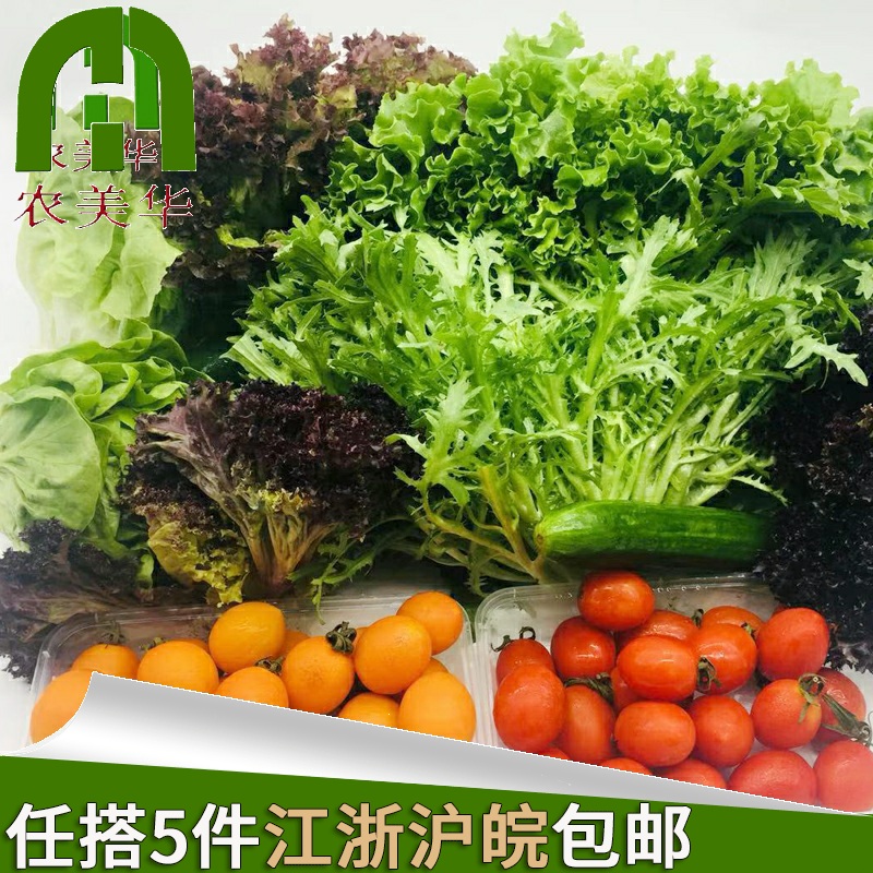 新鲜蔬菜沙拉混合色拉红叶生菜花叶奶油 苦叶 小黄瓜圣女果 5斤装|ruв категории водной мясо/свежие фрукты и овощи/еда, свежие овощи/овощной продукции, свежие овощи, 蔬菜沙拉 - от Buy2taobao.com для оказания профессиональной услуги покупки агента Taobao