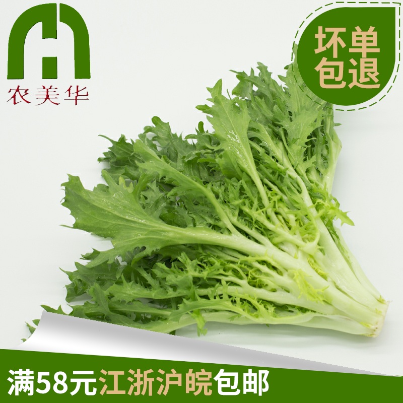 ÐÂÏÊ¿à¾Õ ¿àÒ¶ ¿àÜÄ ¿à²Ë Éú²Ë ɳÀ²Ë 250g