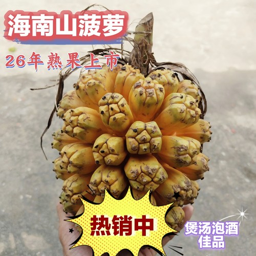 海南现摘新鲜勒古子天然露兜果山菠萝野菠萝滴血莲凉茶果滴血连花