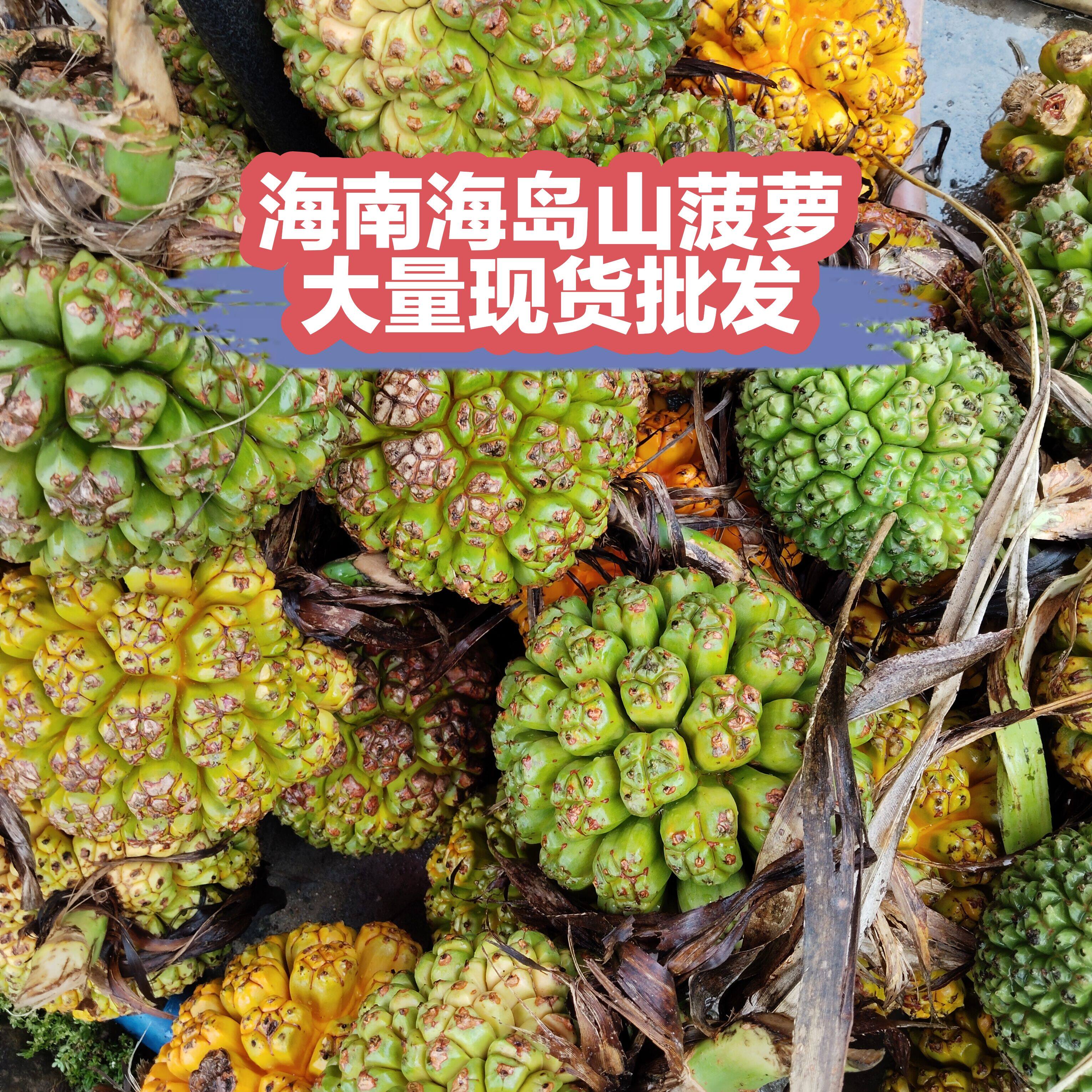 海南现摘新鲜勒古子天然露兜果山菠萝野菠萝滴血莲凉茶果滴血连花
