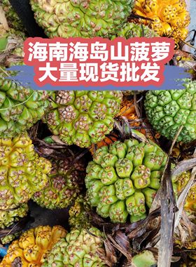 海南现摘新鲜勒古子天然露兜果山菠萝野菠萝凉茶滴血莲花清热除湿