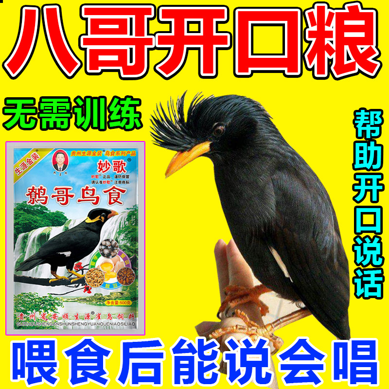 八哥开口粮八哥鹩哥营养粮鸟食饲料速学说话八哥亮毛肥膘专用饲料