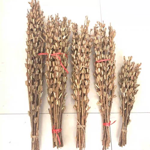 干芝麻杆芝麻开花节节高乔迁新居干花装饰插花瓶摆件天然真芝麻秸