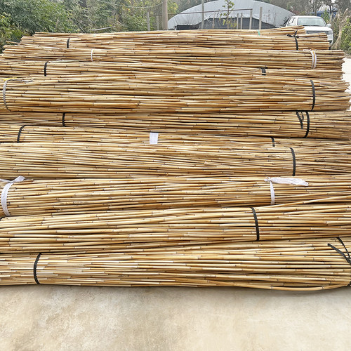 果枝艺长芦苇杆吊顶装饰材料