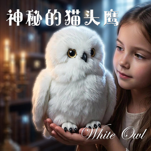 哈利猫头鹰海德德薇毛绒玩具波特周边布艺玩偶磁吸站肩女孩礼物