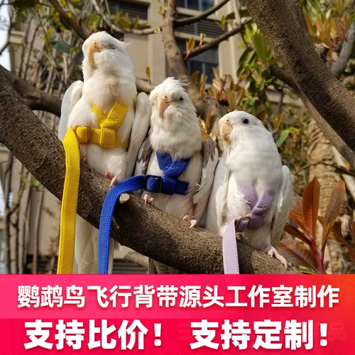 Подтяжки для выхода на улицу для тренировок, сверхлегкая барсетка с поводком