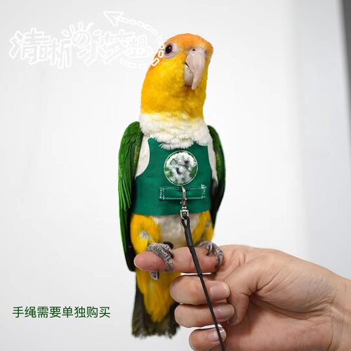 鹦鹉飞行背心飞行服放飞背心