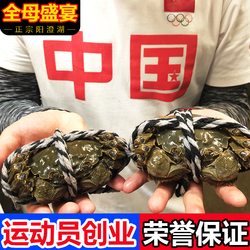 正宗蘇州湖大閘蟹鮮活現貨全母螃蟹特大禮盒裝送工具3.0-2.5兩8只