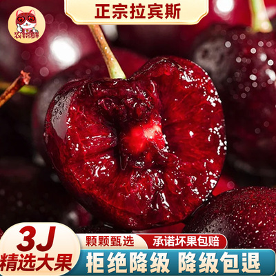 【3j礼盒】智利进口车厘子原箱拉宾斯5斤新鲜包邮大樱桃水果旗舰3
