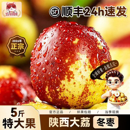 正宗陕西大荔冬枣新鲜水果应季