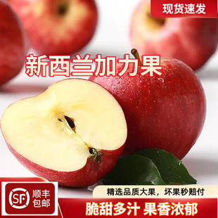 新西兰加力苹果水果新鲜当季进口红苹果嘎啦富士苹果顺丰包邮超甜