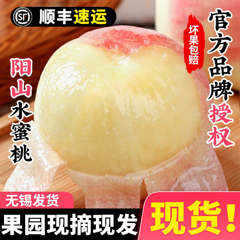正宗无锡阳山水蜜桃子新鲜水果应当季整箱时令白凤特大毛礼盒旗舰