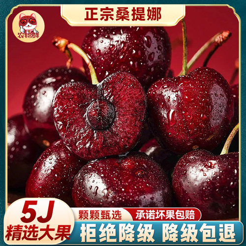 5j 智利进口车厘子桑缇娜特大34斤新鲜孕妇樱桃水果桑缇娜礼盒