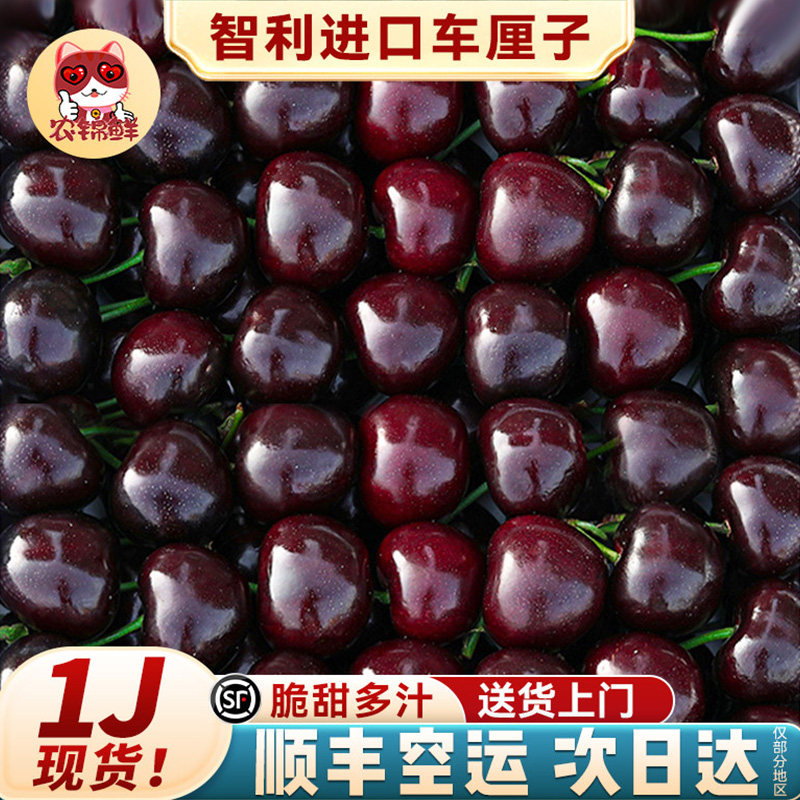 1j拉宾斯现货智利进口车厘子特大5斤3j新鲜孕妇樱桃水果桑提娜,水产肉类/新鲜蔬果/熟食,车厘子/樱桃,淘宝优惠券,粉丝福利购,淘宝优惠卷