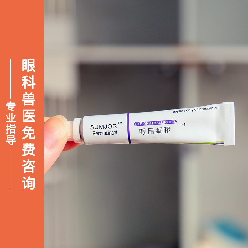 SUMJOR舒酶捷宠物猫咪狗眼用凝胶角膜腐骨损伤严症眼药水,宠物/宠物食品及用品,猫狗通用营养膏,淘宝优惠券,粉丝福利购,淘宝优惠卷