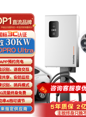 能效九孔直流充电桩7/30/60/22kw新能源汽车快充适用于蔚来Et红旗