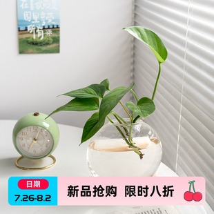 ins风玻璃花瓶轻奢高级感水培器皿客厅插花水养绿植迷你花器摆件