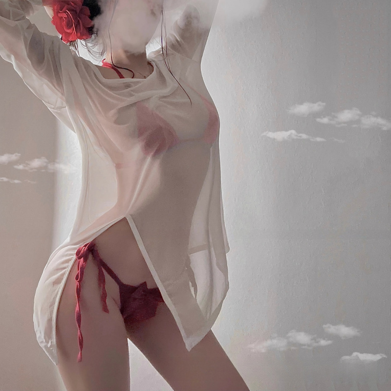 海边诱惑性感睡衣长袖半透明纯欲