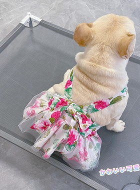 法斗夏季裙子宠物小狗狗巴哥性感吊带可爱背心裙子泰迪柯基狗衣服