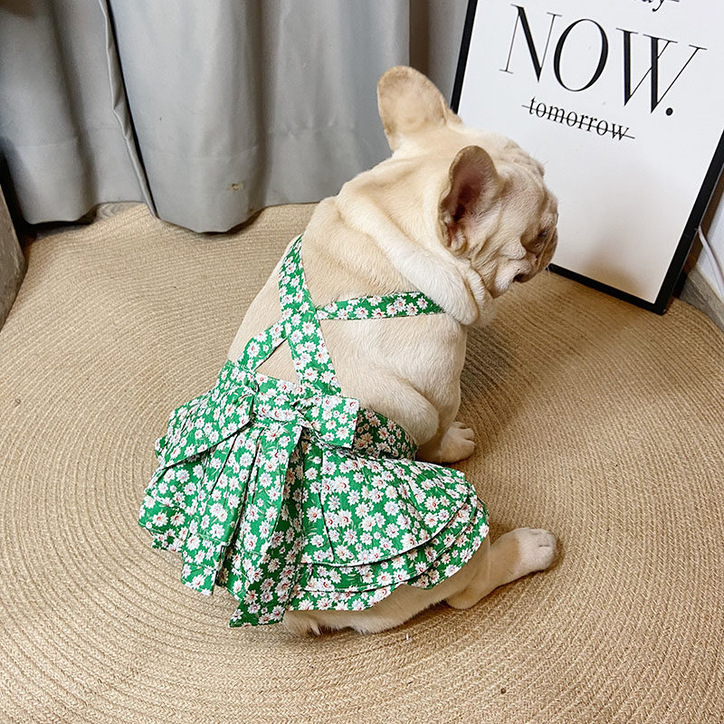 夏季新款幼犬狗狗裙子法斗