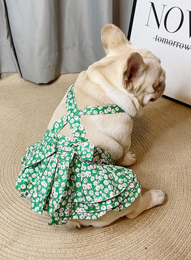 夏季新款幼犬狗狗裙子猫咪裙子舒适宠物衣服裙子用品法斗公主裙