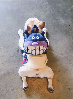 新款法斗狗狗宠物牵引书包狗狗自背包柴犬柯基雪纳瑞边牧中小型犬