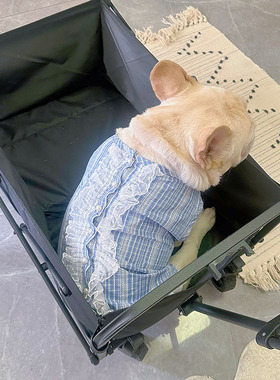 2025宠物衣服春夏格子背心法斗巴哥小狗狗幼犬衣服夏季透气款精致