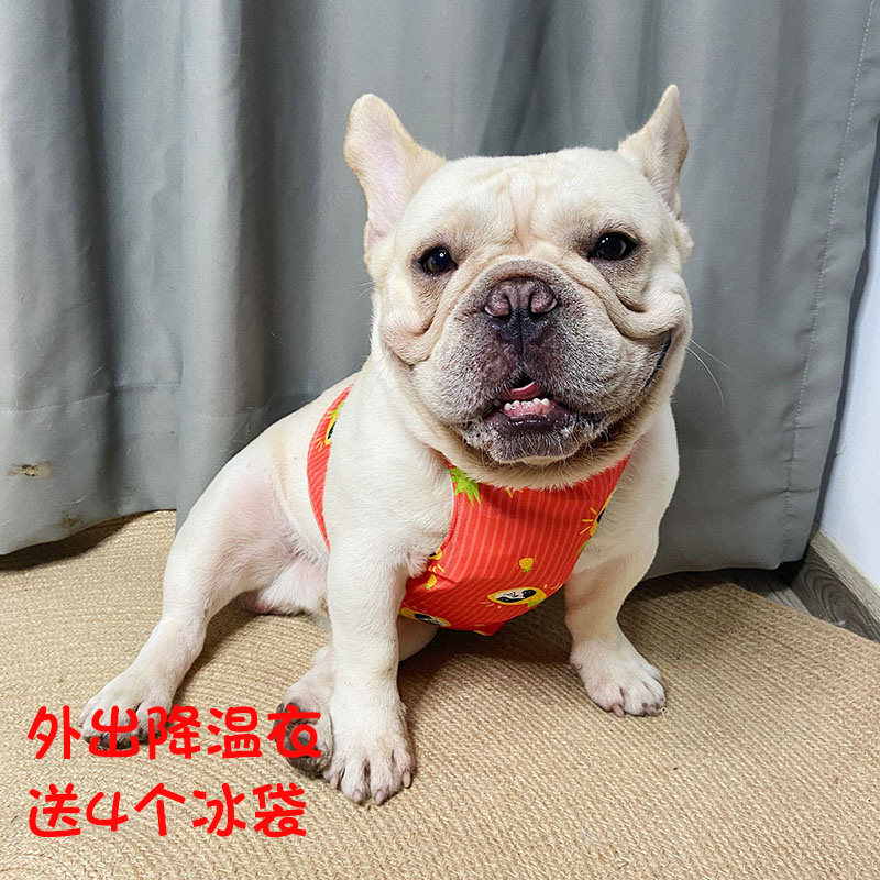 夏季宠物降温斗牛犬凉凉衣背带