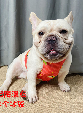 夏季宠物降温斗牛犬背心背带狗狗凉凉衣雪纳瑞巴哥法斗外出小型犬