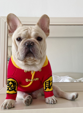 特价狗狗新年衣服保暖雪纳瑞法斗巴哥比熊毛衣唐装加厚