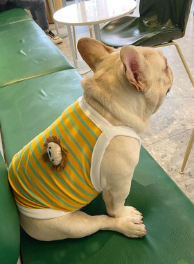 网红狗狗衣服夏季居家纯棉 巴哥犬背心雪纳瑞法斗犬防着凉薄款