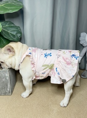 宠物裙子公主夏季比熊博美雪纳瑞泰迪女奶狗小型犬可爱狗狗衣服春