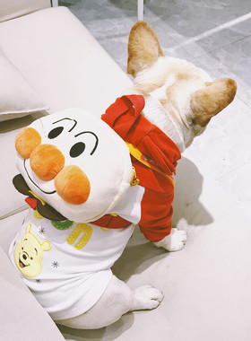 狗狗法斗英斗巴哥柯基比熊犬外出面包人小书包回头率100%宠物背包