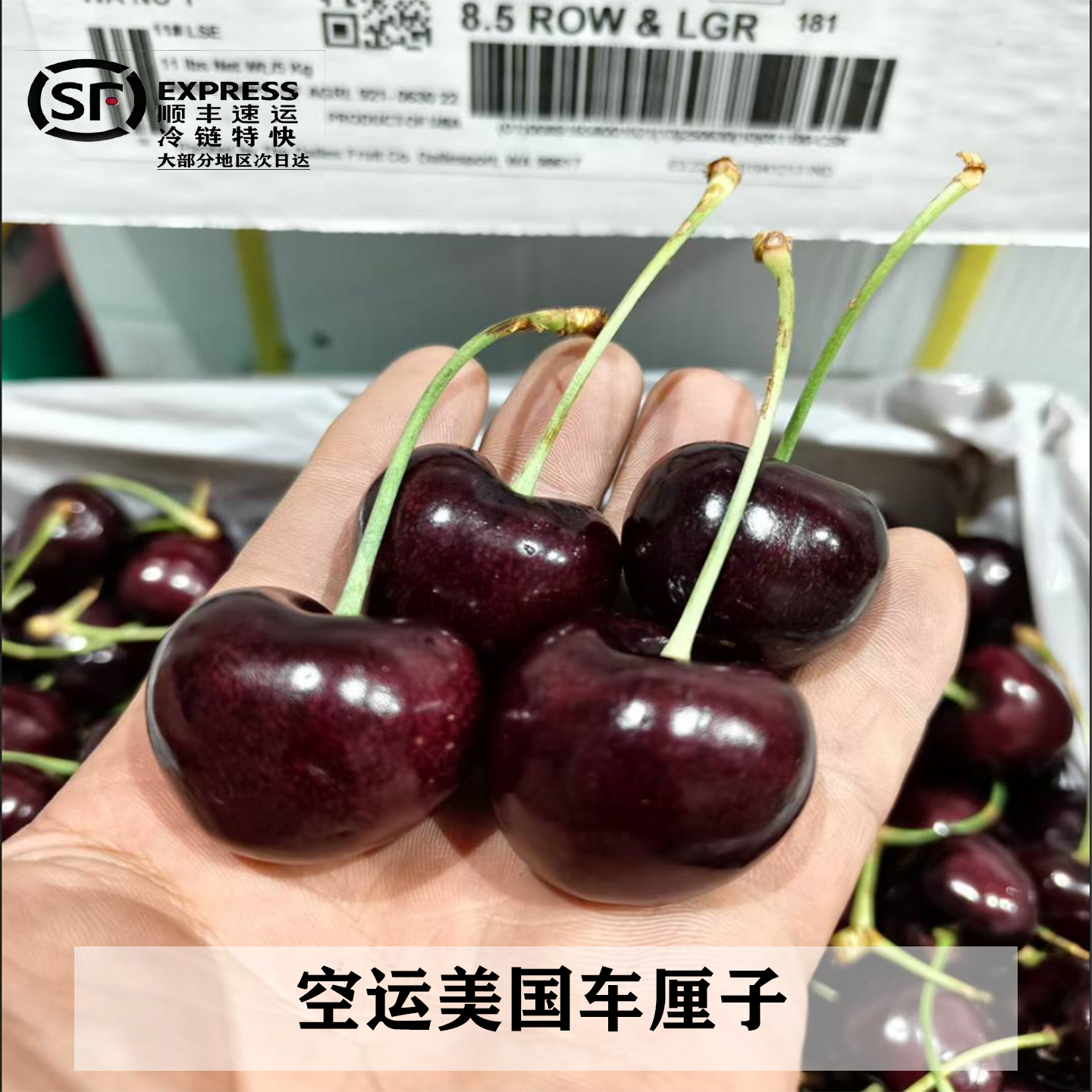 美国进口黑珍珠脆甜车厘子礼盒