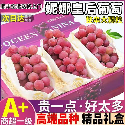 妮娜皇后葡萄无籽新鲜现摘晴王云南应季水果包邮礼盒顺丰空运闪送