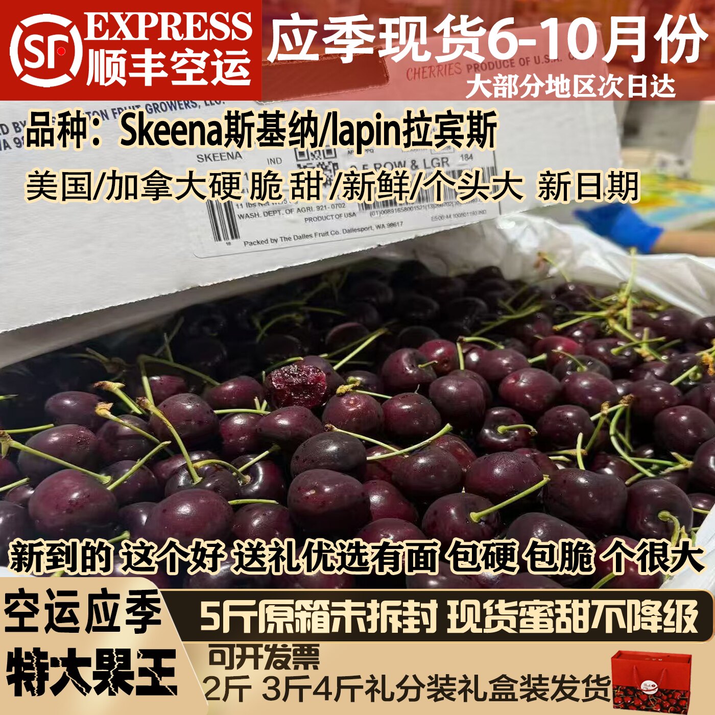 5JD车厘子智利进口黑车厘子顺丰